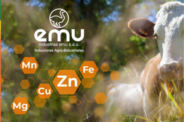 FORMACION FUNDAMENTOS SISTEMA DE GESTION DE CALIDAD ISO 9001:2015 &   ISO 19011:2018 - INHOUSE INDUSTRIAS EMU - NOV 2025