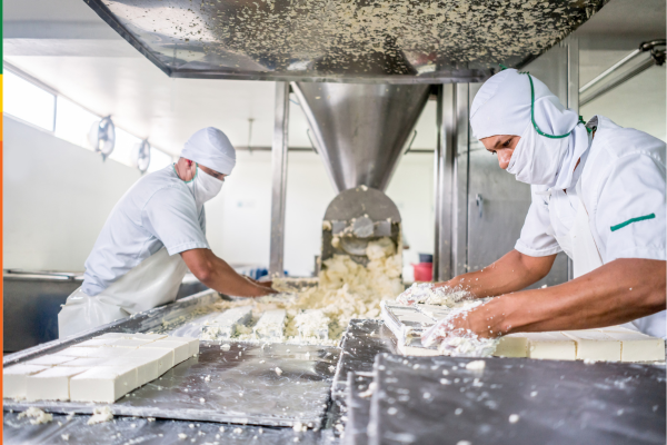 AUDITOR INTERNO SISTEMAS DE GESTION EN INOCUIDAD ALIMENTARIA BPM & HACCP e ISO 22000:2018 - INHOUSE SAN MARTIN LACTEOS
